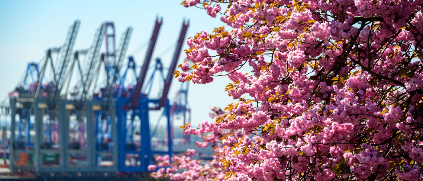 «По-японски» или «по‑американски»: как торговая политика влияет на импортные закупки