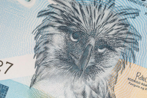 Красота в кошельке: самые красивые деньги мира
