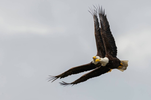 Нетипичная «тихая гавань»