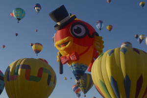 «Рыба на дереве»: почему универсальные рецепты развития не работают