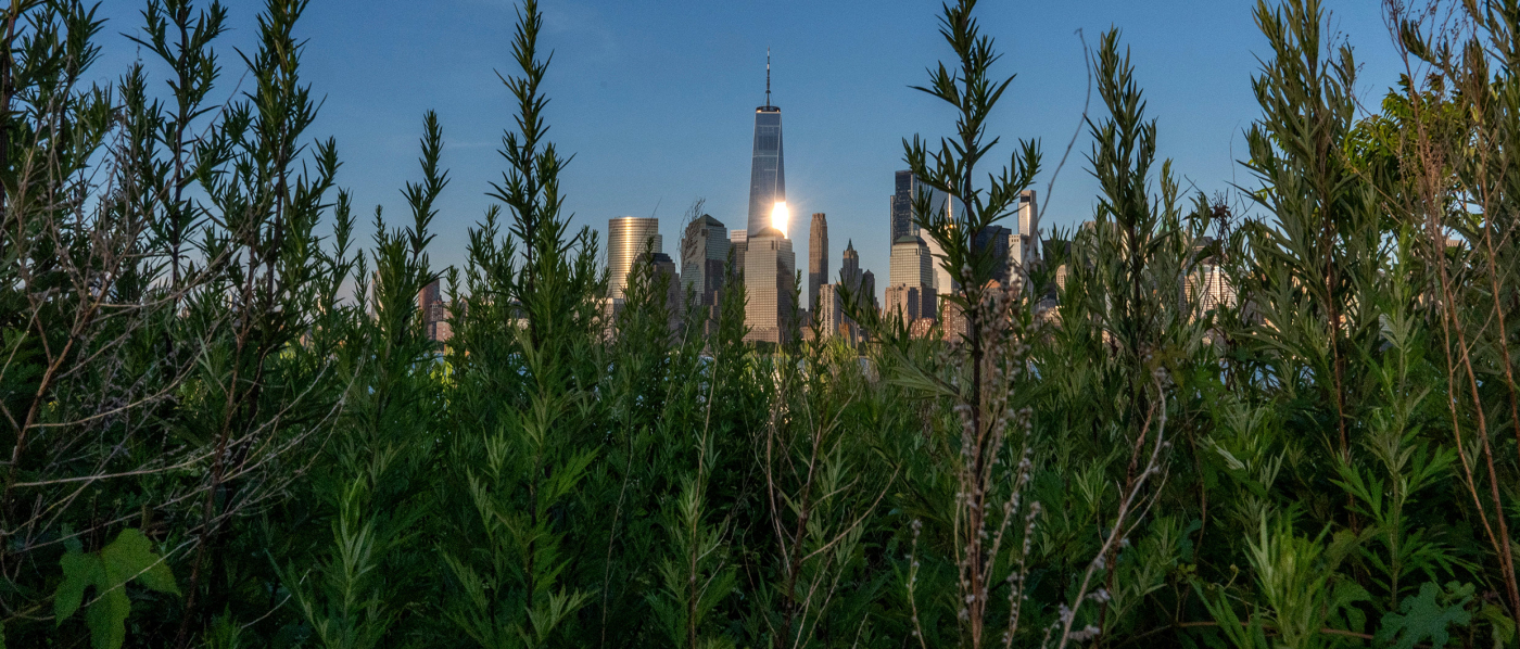 «На заработки в город»: экономическая сила городов