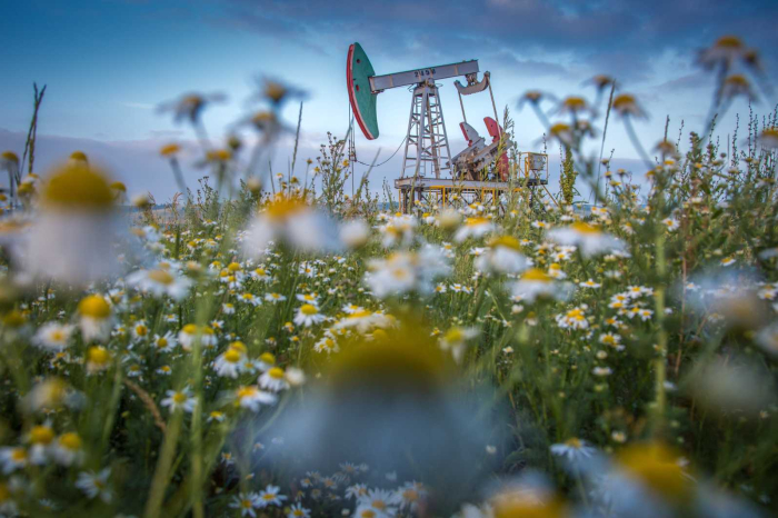 Как климатическая политика влияет на цену нефти