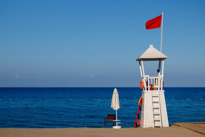 ‘A Tsunami Cannot Be Banned’: Potential and Risks of AI