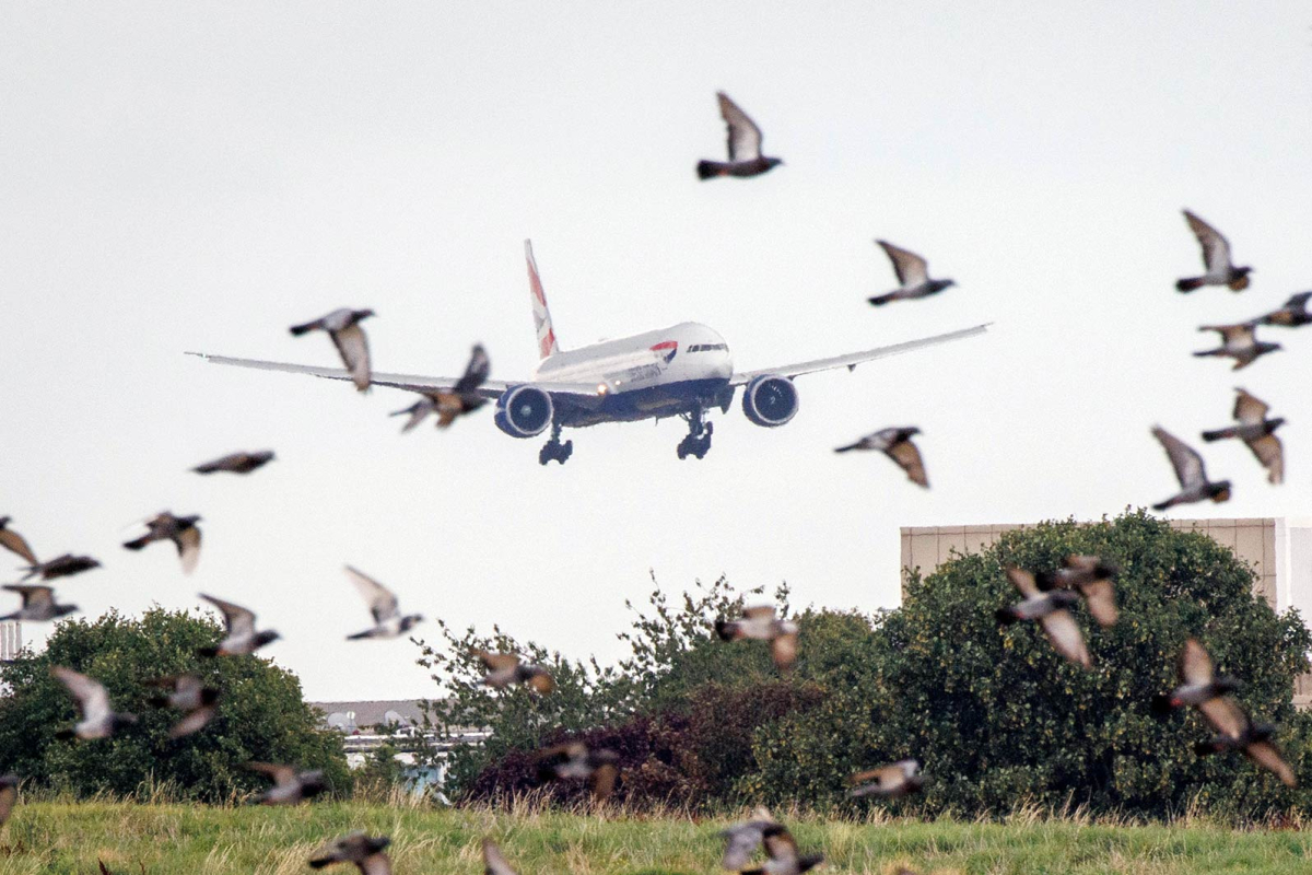 «Свой или чужой»: с кем запускать стартап