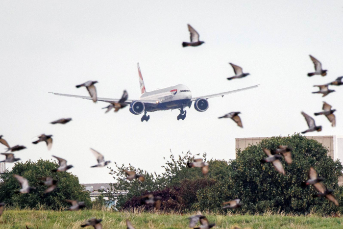 «Свой или чужой»: с кем запускать стартап