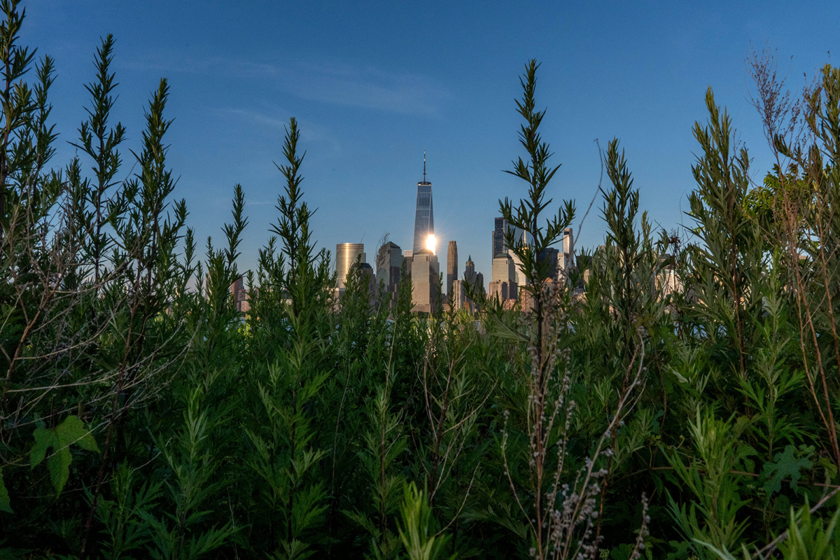 «На заработки в город»: экономическая сила городов