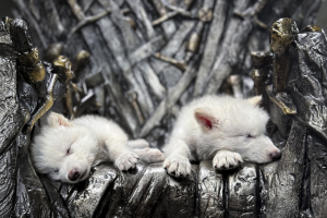 Топ-10 прорывных технологий – 2026: от ИИ-компаньонов до коммерческих космических станций