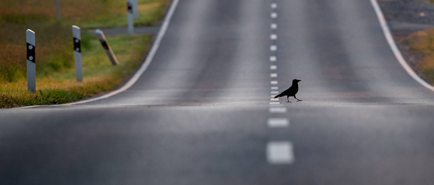 Экономика дефицита: от нефти и чипов до рабочей силы