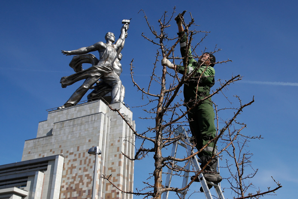 Вклад мигрантов в экономику Москвы