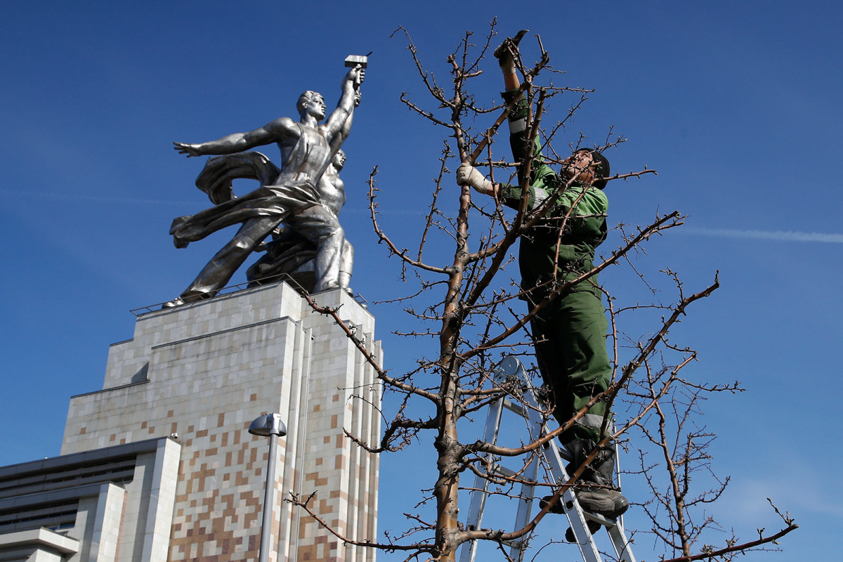 Вклад мигрантов в экономику Москвы