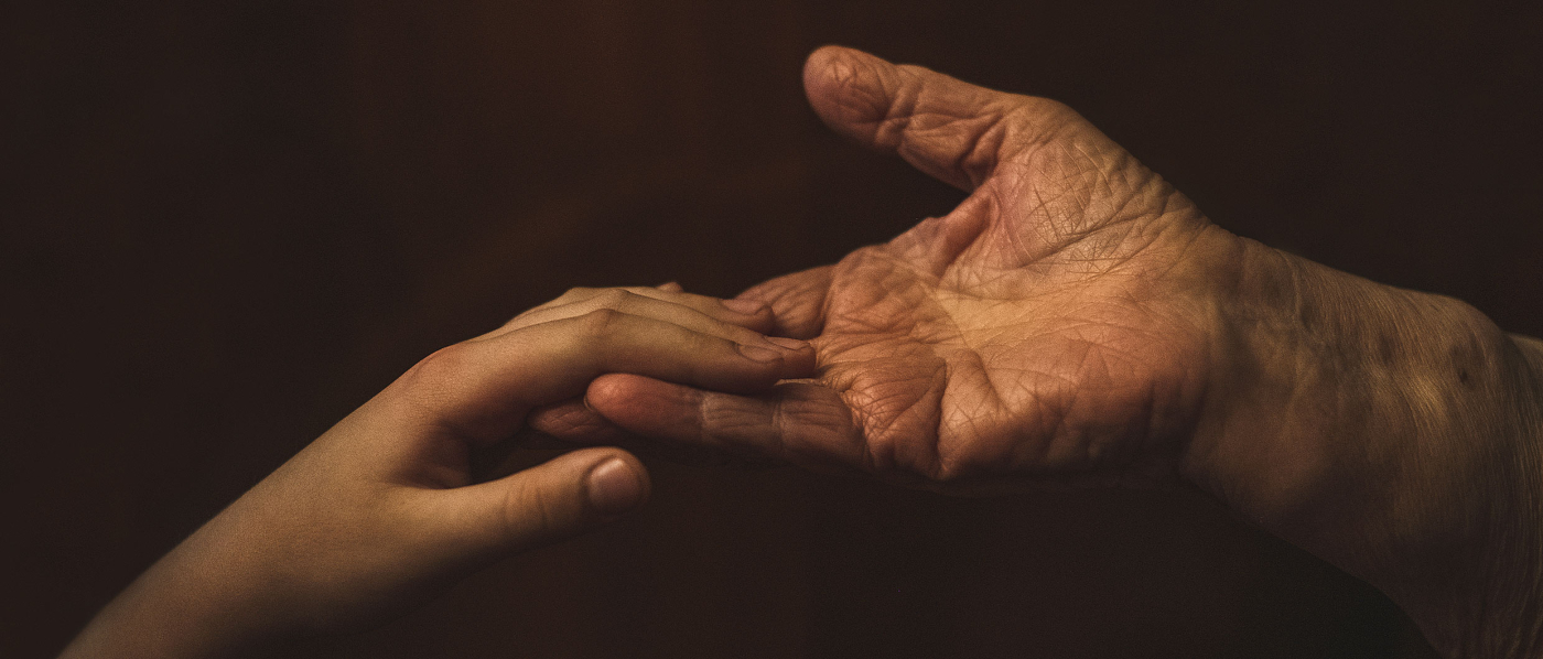 «Эффект бабушки»: ключ к эволюции человека