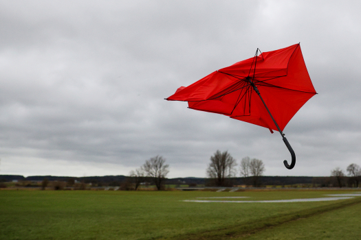 «Роза ветров» глобальной инфляции