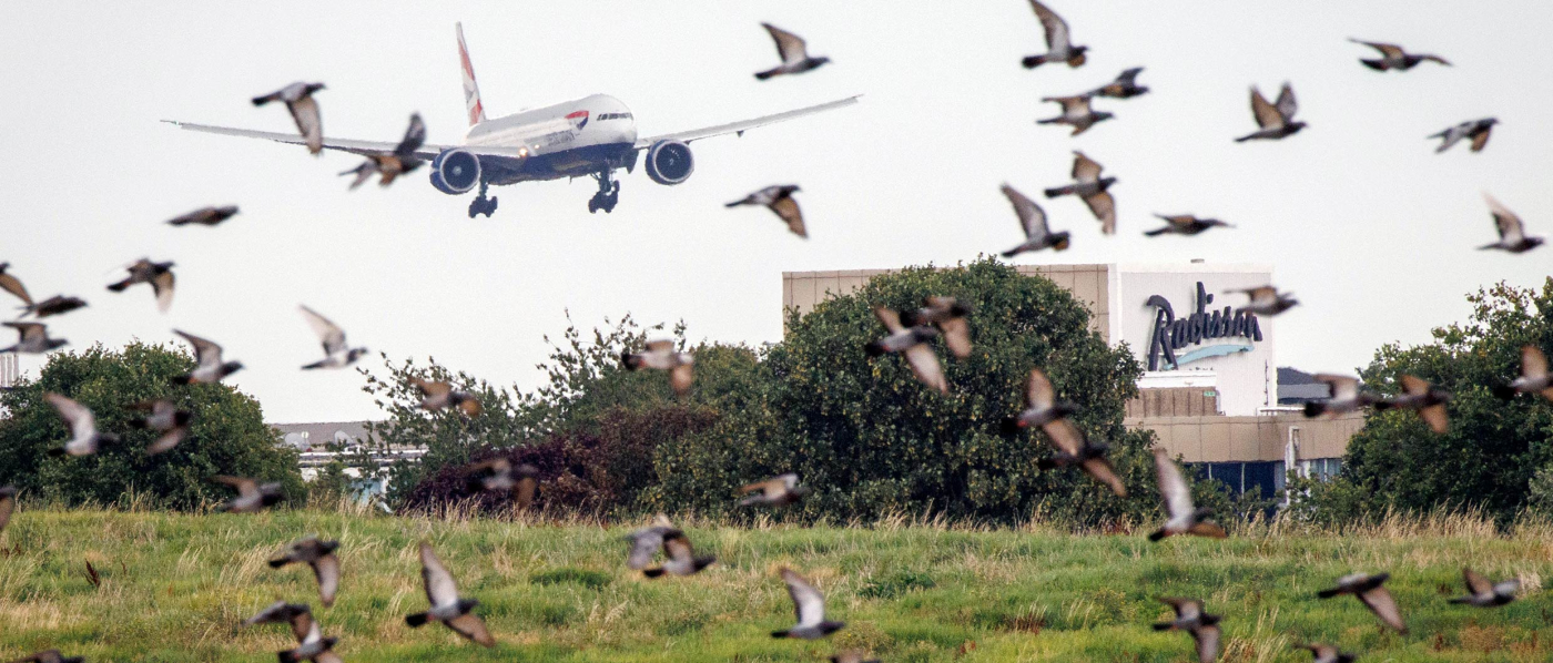 «Свой или чужой»: с кем запускать стартап