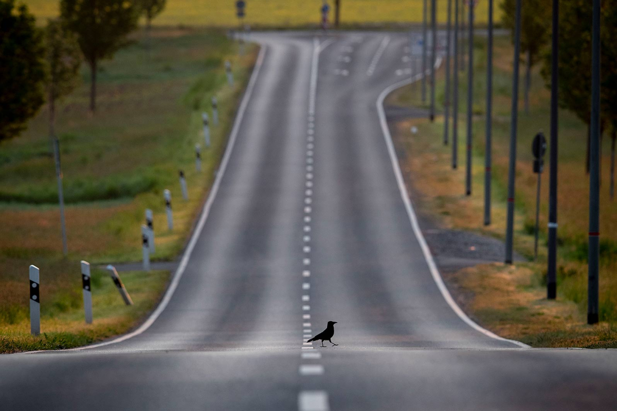 Экономика дефицита: от нефти и чипов до рабочей силы