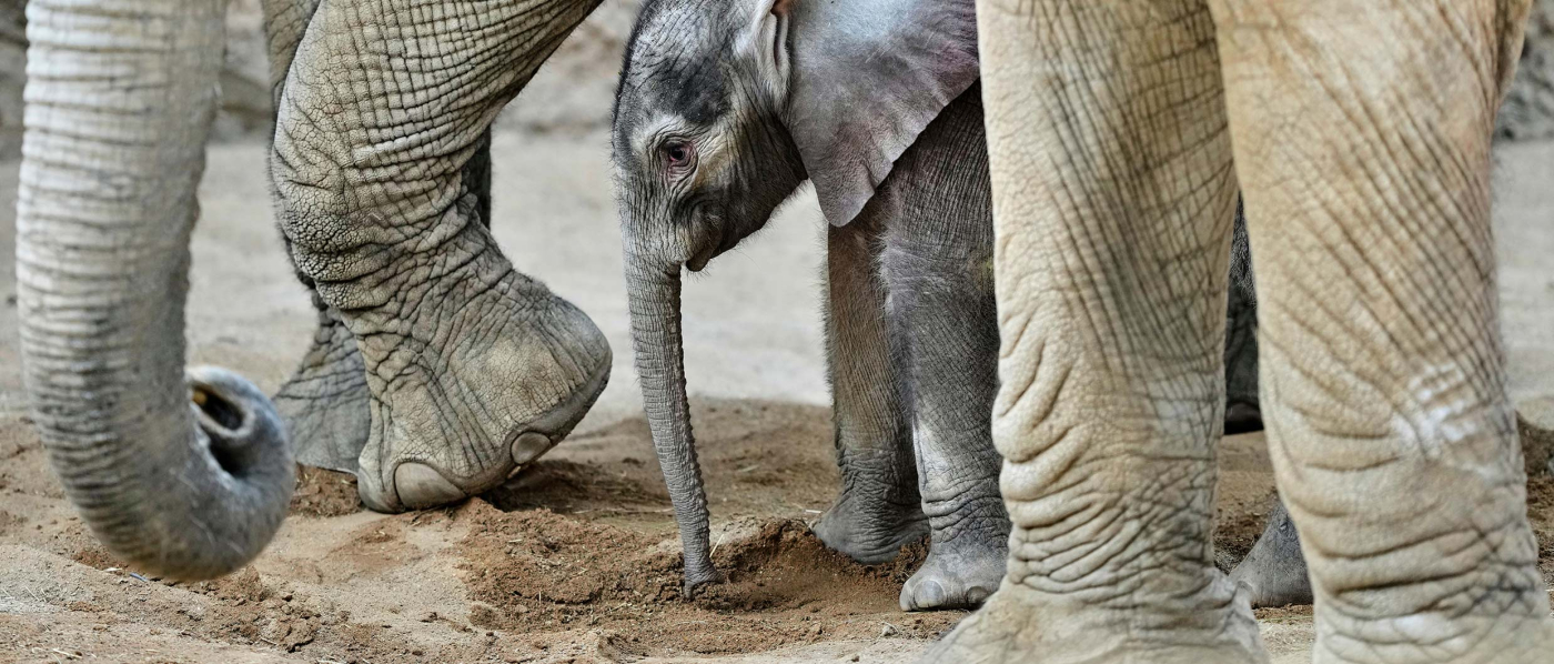 Микрофакторы инфляции